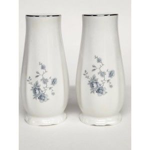 Johann Haviland Bavaria Germany Blue Garland China Salt and Pepper Shaker Set